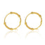 Gold Hoop Earring