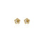 Mother of Pearl Double Flower Stud Earring